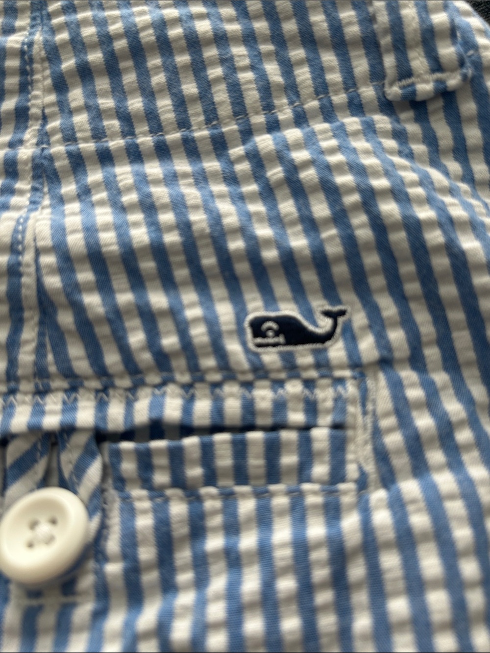 Vineyard Vines Blue and White Striped Shorts - Picture 4 of 4